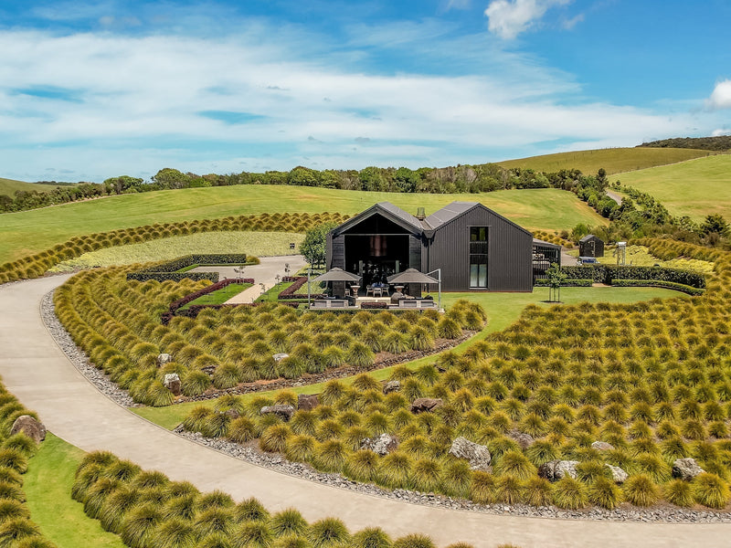 The Best Wine Tasting Destinations in New Zealand